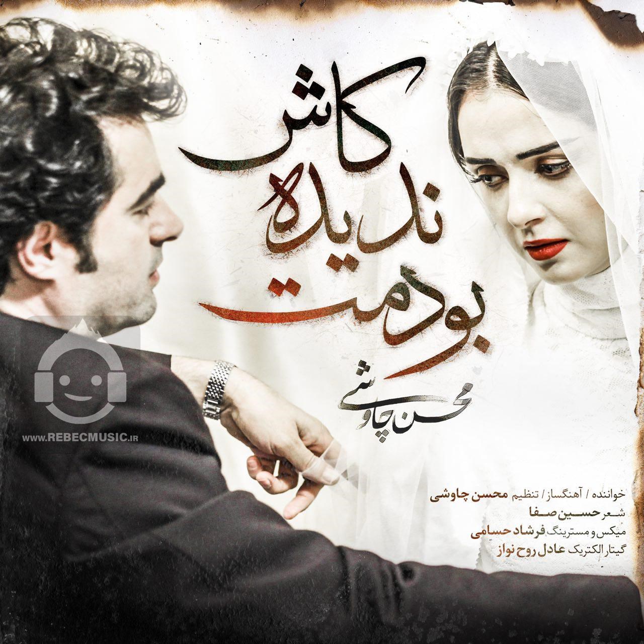 آهنگ کاش ندیده بودمت از محسن چاوشی