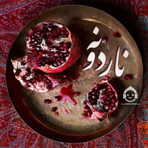 آهنگ ناردونه از علی زندوکیلی